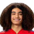 https://img.hbyjsw.cn/img/football/player/87359ed9061cfd73513d827263deebcd.png