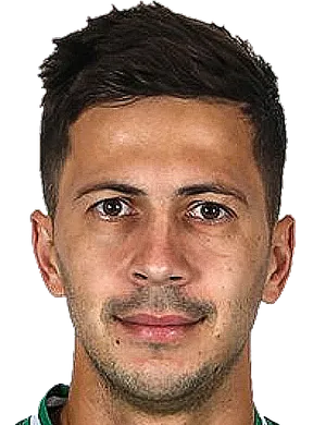 https://img.hbyjsw.cn/img/football/player/a7521cae3d55835286cc258209d1ffee.png