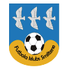 https://img.hbyjsw.cn/img/football/team/259a1106a33b56d2bb3c458a62ffa2ea.png